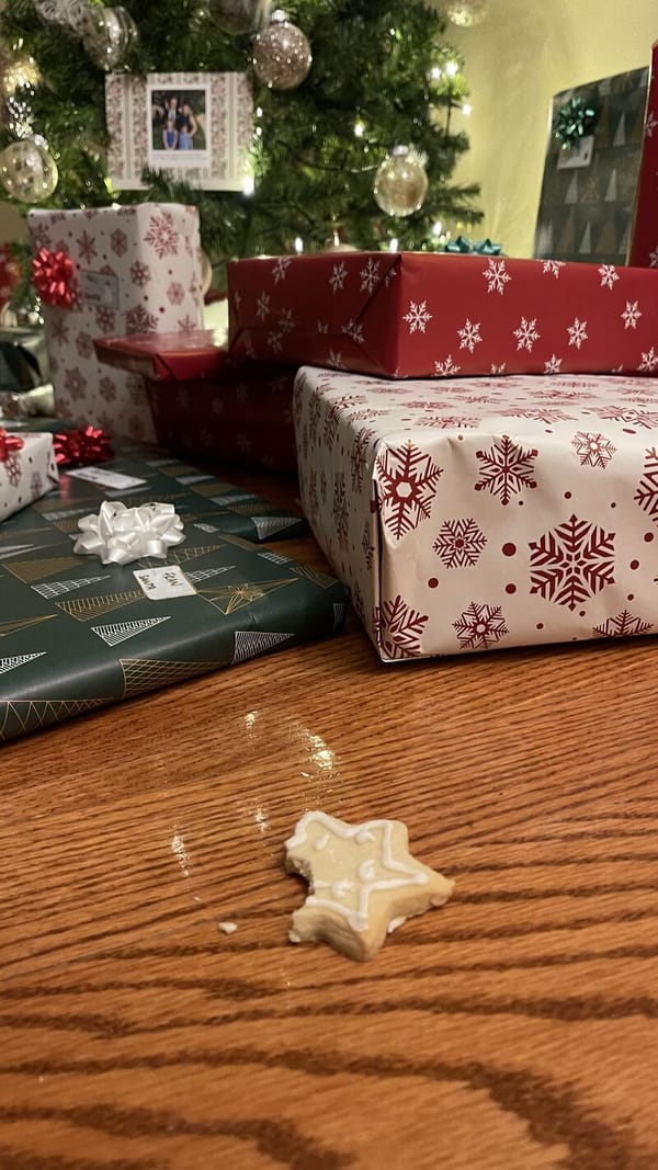 The Excitement of a Christmas Morning